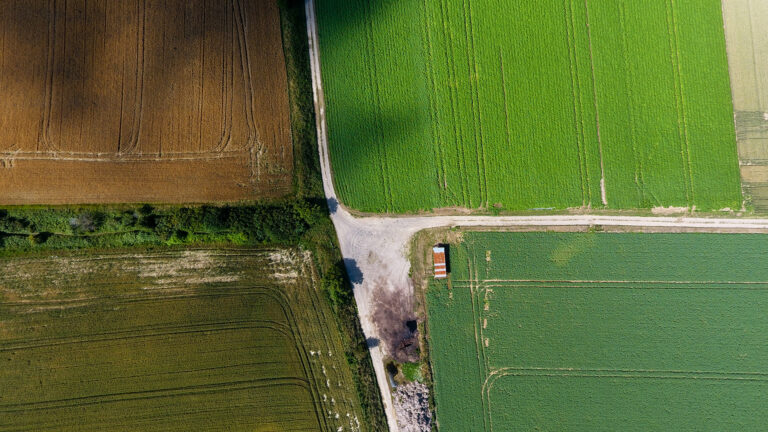 Croisée des chemins